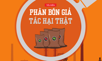 Tạp chí Kinh tế Việt Nam số 24-2022