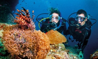 Tạm dừng dịch vụ du lịch lặn biển để cứu san hô tại Hòn Mun, Nha Trang 