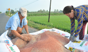 Giá phân bón hạ nhiệt: Doanh nghiệp lại lo tồn kho