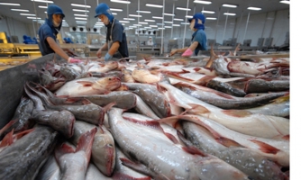Kim ngạch xuất khẩu thủy sản tăng 40% trong nửa đầu năm 2022