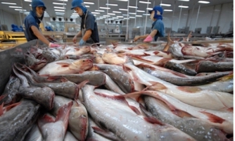 Xuất khẩu thủy sản "bứt phá", nhiều kỷ lục mới đã được thiết lập