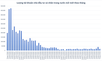 Số tài khoản cá nhân giảm sốc chỉ còn 198.988 mở mới trong tháng 7, giảm gần 60% so với kỷ lục tháng 6