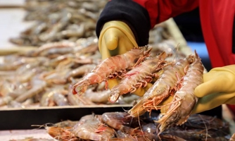 Agricultural exports to Australia face difficulties