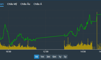 Cổ phiếu phân bón tím ngắt, VN-Index sắp chạm 1300