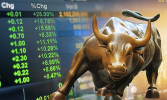 Pyn Elite Fund lạc quan về “phong thủy” chứng khoán năm con Mèo