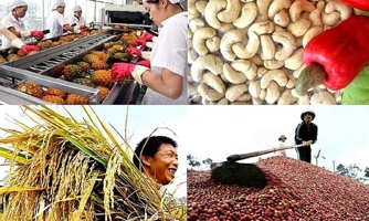 Khai thông thị trường, tăng xuất khẩu nông lâm thủy sản