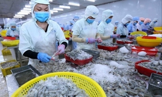 Xuất khẩu tháng 8 tăng trưởng 54% nhưng ngành thủy sản vẫn không vui, vì sao?