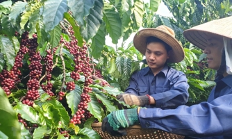 Xuất khẩu sang Tây Ban Nha: Việt Nam chỉ đứng sau Trung Quốc