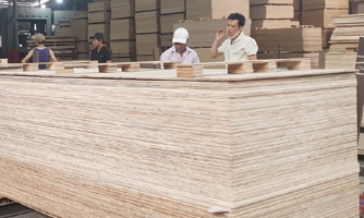 Hoa Kỳ gia hạn ban hành kết luận cuối cùng đối với gỗ dán từ Việt Nam