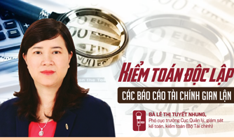 Kiểm toán độc lập các báo cáo tài chính gian lận