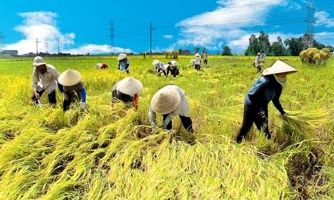 Việt Nam, Cuba hợp tác phát triển nông lương