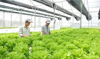 GEFE: Hỗ trợ Việt Nam đáp ứng mục tiêu cam kết tại COP26
