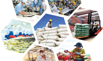 Định vị thương hiệu sản phẩm Việt trên thị trường xuất khẩu