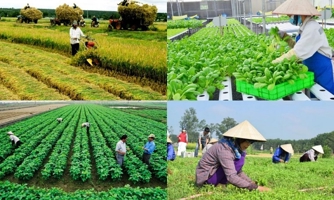 Khắc phục những quy định chồng chéo đang "kìm hãm" sự phát triển của các hợp tác xã