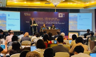 UNDP: Economic outlook bright amid rising risks