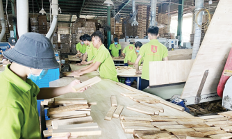 Gỗ ghép thanh tồn kho lớn 
