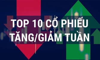 Cổ phiếu EVF là điểm sáng