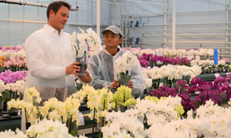 Cuộc sống của Jack Ma sau vụ "vạ miệng" khiến Alibaba gặp hạn