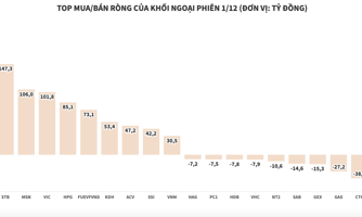 Khối ngoại tiếp tục giải ngân ròng hơn 1.100 tỷ đồng