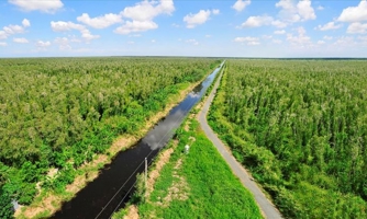 Vai trò thiết yếu của thị trường carbon tự nguyện