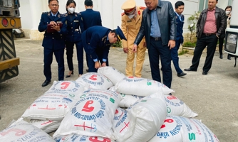 Thanh Hóa tạm giữ phương tiện vận chuyển đường cát nghi nhập lậu, số lượng lớn 