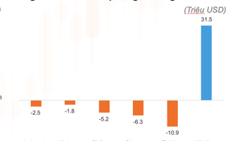 Vốn ETF rút ròng toàn Đông Nam Á, riêng Việt Nam vẫn vào mạnh 31,5 triệu USD