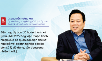 Phát huy mô hình cơ quan đại diện chủ sở hữu vốn nhà nước tại doanh nghiệp