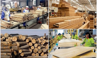 Ngành lâm nghiệp xuất siêu trên 14 tỷ USD