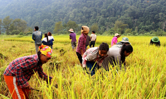 Giảm cho không, hỗ trợ người nghèo bằng chính sách có điều kiện