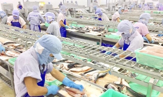 Thêm hàng chục doanh nghiệp thủy sản Việt Nam được cấp phép đưa hàng vào Trung Quốc 