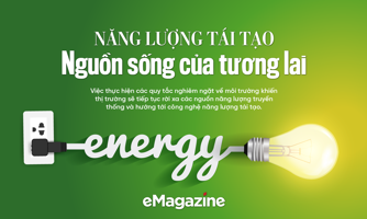 Năng lượng tái tạo: Nguồn sống của tương lai