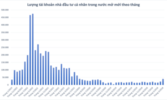Không chỉ bán ròng, nhà đầu tư cá nhân trong nước mở mới tài khoản thấp kỷ lục 2 năm 