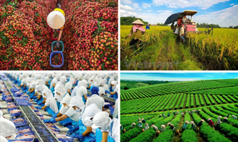 Ngành nông nghiệp đặt mục tiêu thu hút 25 tỷ USD vốn FDI vào năm 2030