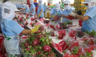 Xuất khẩu nông sản sang Trung Quốc vẫn cần được khai thông