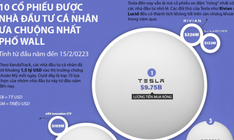 Điểm danh 10 cổ phiếu được nhà đầu tư cá nhân ưa chuộng nhất Phố Wall năm 2023