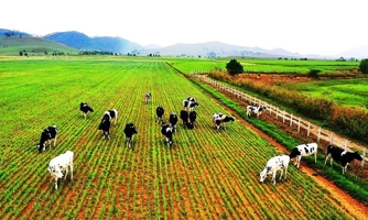 Tiến tới thành lập Hiệp hội Doanh nghiệp Nông nghiệp Việt Nam đầu tư sang Lào 