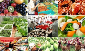 Xuất khẩu thủy sản bật tăng mạnh mẽ, rau màu bội thu nhờ được giá