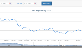 Công ty mẹ Pacific Holdings đăng ký bán tiếp 19,6 triệu cổ phiếu VCG