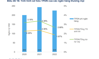Nợ xấu trái phiếu 8,15% ảnh hưởng thế nào tới chất lượng tài sản ngân hàng? 