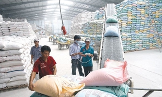 Giá gạo xuất khẩu tăng cao nhất 10 năm qua