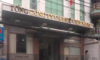 Tổng công ty Cà phê Việt Nam… trồng lúa và cao su đạt kết quả tốt