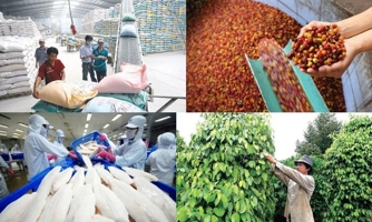 Trong gian khó, sản xuất nông nghiệp vẫn tăng nhẹ sản lượng