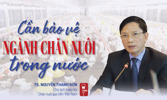 Cần bảo vệ ngành chăn nuôi trong nước