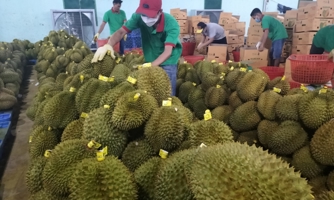 Xuất khẩu rau quả hướng tới mục tiêu 4 tỷ USD, Trung Quốc vẫn là thị trường nhiều triển vọng