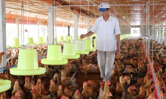 Phấn đấu có 10 huyện trở thành vùng chăn nuôi an toàn dịch bệnh đạt chuẩn thế giới