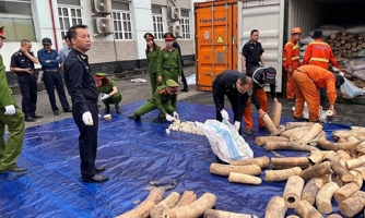 Phòng, chống rửa tiền trong buôn bán động động vật hoang dã