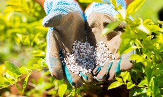 Thuế xuất khẩu phân bón NPK về 0%, giảm thuế nhập khẩu xăng sinh học từ giữa tháng 7/2023
