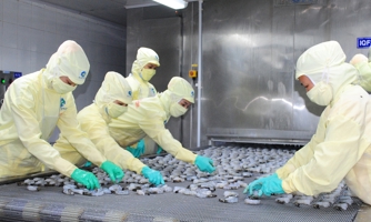 Trung Quốc tăng cường nhập khẩu tạo đà phục hồi xuất khẩu tôm Việt Nam