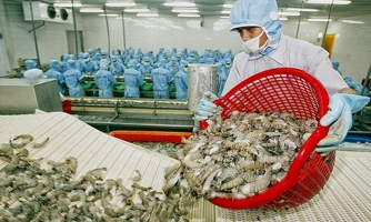 Xem xét tiếp tục cho doanh nghiệp thuỷ sản vay vốn để trả lương ngừng việc cho người lao động