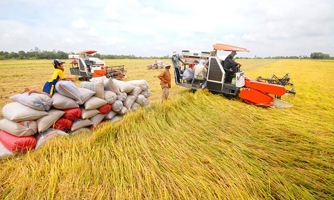 FiinGroup dự báo ngành nông nghiệp gặp nhiều khó khăn trong thời gian tới 